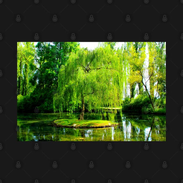 Tiny island with a weeping willow in the centre of a pond full of algae by KristinaDrozd