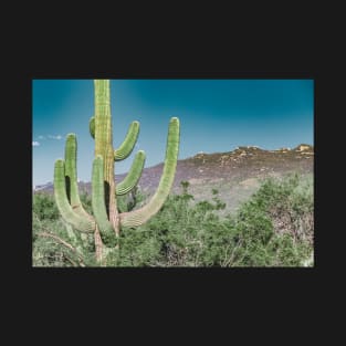 Desert Cactus T-Shirt