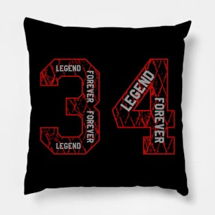 34 Legend Forever Pillow