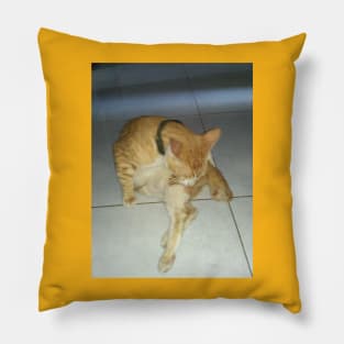 morning cat shower Pillow