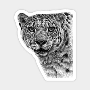 Snow leopard big cat Magnet