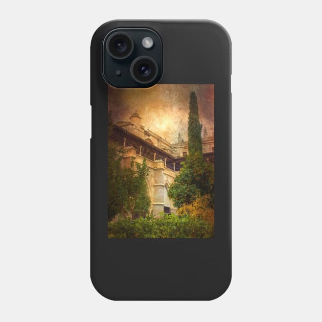 catedral de toledo. claustro.jardim Phone Case by terezadelpilar