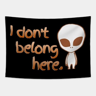 I don't belong here Tapestry