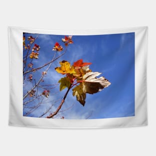 Bright Fall Leave's up in the Blue Sky Tapestry