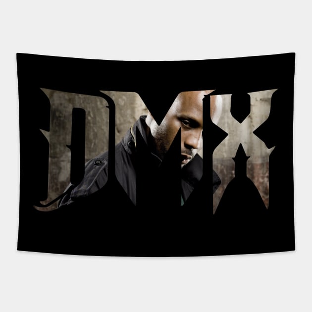 dmx Tapestry by rsclvisual