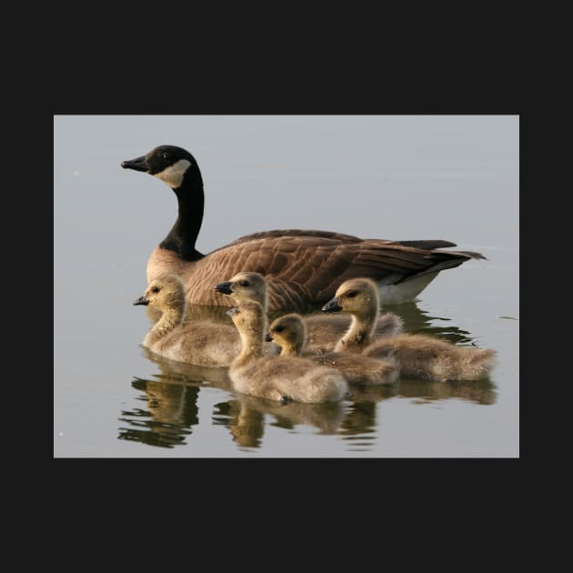 Mother Goose and Her Goslings by Bravuramedia