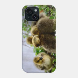 Chick Siblings / Swiss Artwork Photography Phone Case