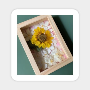 preserved flower Magnet