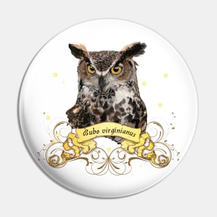 American owl Pin