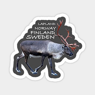 Lapland Magnet