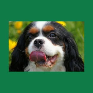 cavalier king charles spaniel black and white T-Shirt