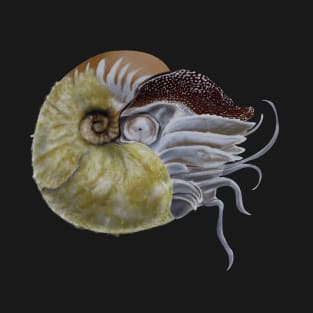 Fuzzy nautilus T-Shirt