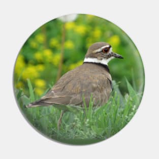 Killdeer Bird in a Field of Flowers Pin