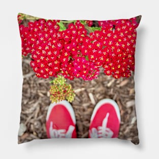 Ruby Red Yarrow Achillea Pillow