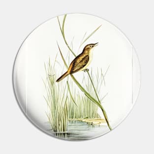 Reed Warbler (Acrocephalus Australis) Pin