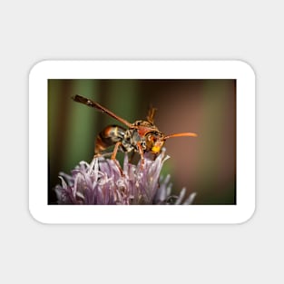 Paper Wasp Magnet