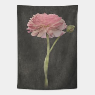 Fluer d'Armour Ranunculus Tapestry