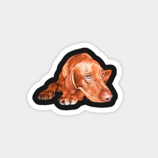 Hungarian Vizsla Magnet