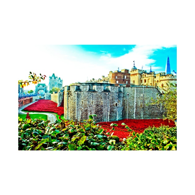 Tower of London Red Poppies UK by AndyEvansPhotos