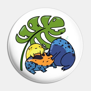 Dart Frog Buddies Pin