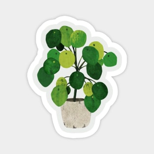 Pilea Peperomioides interor plant Magnet