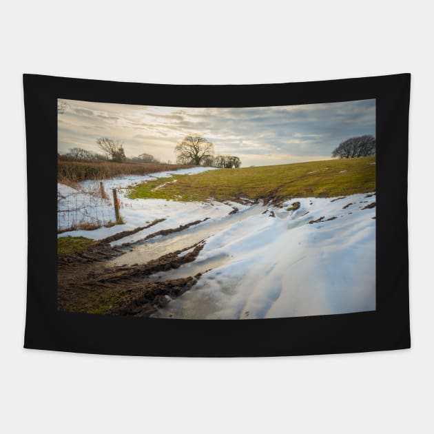 Winter Light Tapestry by RJDowns