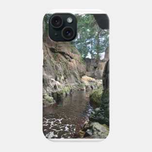 Jungle view Phone Case