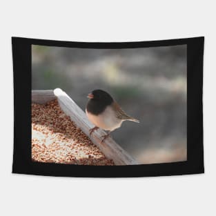 Dark-eyed junco, Wild Birds, Wildlife, Nature Tapestry