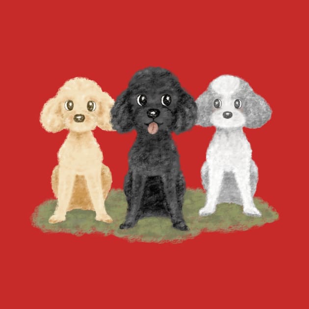 Three poodles by sanogawa