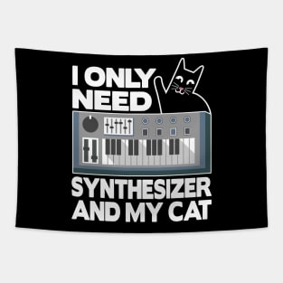 Only Analog Cat Modular Synthesizer Synth Drum Tapestry