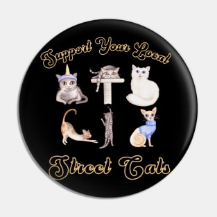 Support Your Local Street Cats Pin