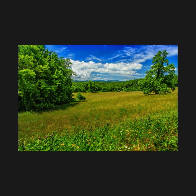 Virginia Summer Meadow by Gestalt Imagery