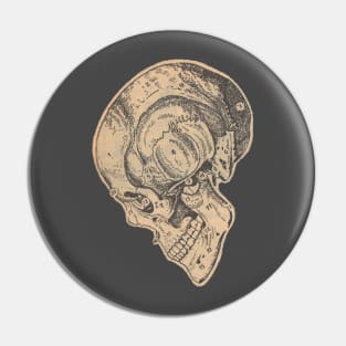 Academia Skull Foxed Pin