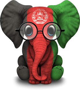 Baby Elephant with Glasses and Afghan Flag Magnet