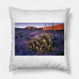 Opuntia In Chihuahuan Desert Landscape Big Bend National Park Pillow