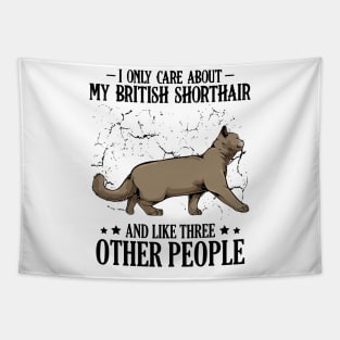 British Shorthair Cat Tapestry