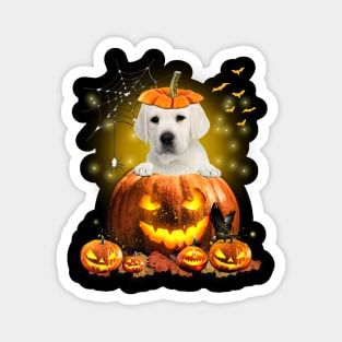 White Labrador Spooky Halloween Pumpkin Dog Head Magnet