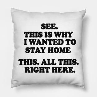 See This Is Why I Wanted To Stay Home This All This Right Here Shirt, Funny Shirts For Work, Unisex Graphic Tee, Sarcastic Shirt, Humor Tee Pillow