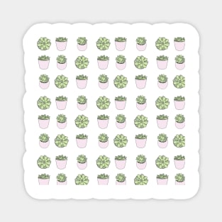 Green and pink suculents in flowerpots Magnet