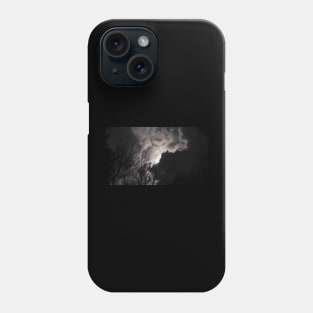 Full Beaver Moon Phone Case