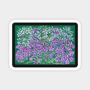 Pink phloxes flowers Magnet