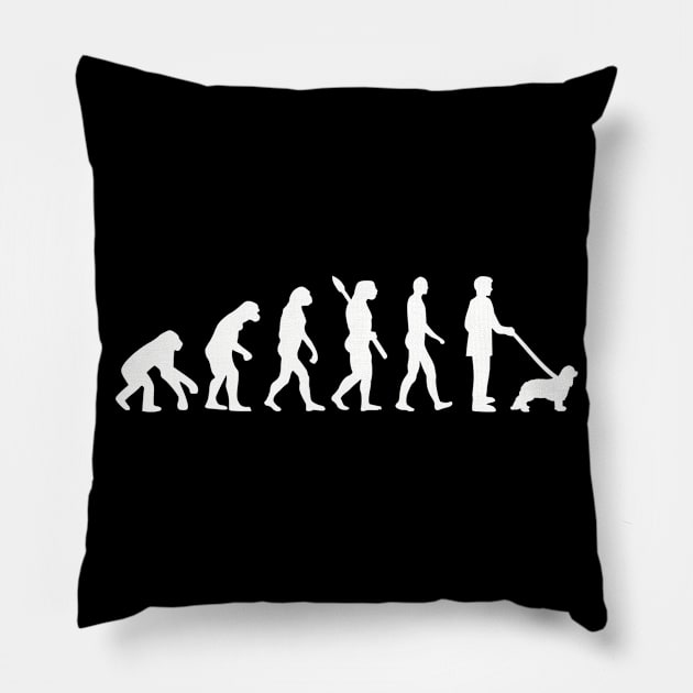 Cavalier King Charles Evolution Pillow by Designzz