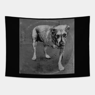 Alice's Dog Long Play BW Tapestry