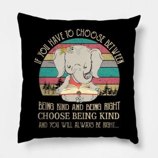 Being Kind Being Right Pillow