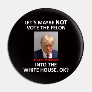 Let’s Maybe NOT Vote the Felon Into The White House.  OK? Pin