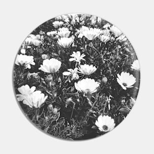 Black and white Sanatorium flowers Pin