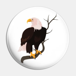 Bald eagle bird Falcon hawk buzzard raptor nature Pin