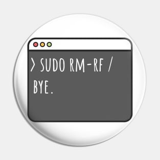 Developer sudo rm-rf /. Bye Pin