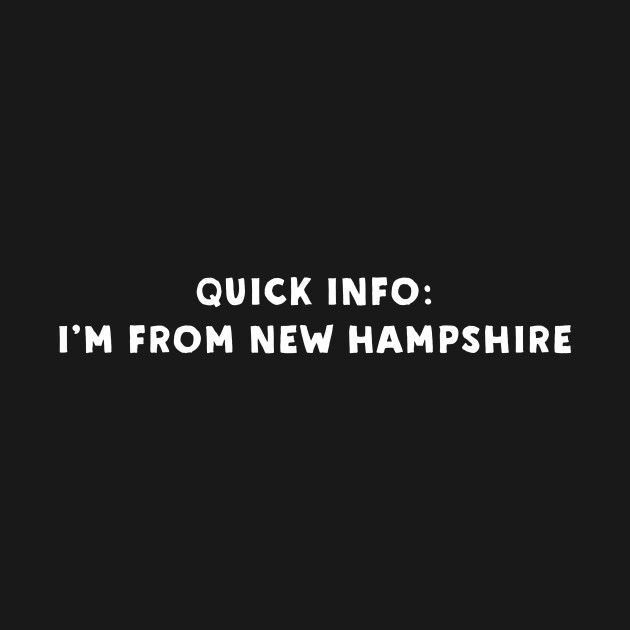 Disover New Hampshire Cool & Funny - New Hampshire - T-Shirt