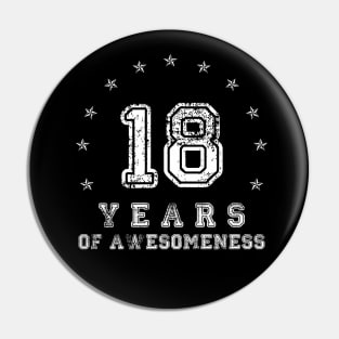 Vintage 18 years of awesomeness Pin